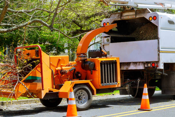 Leaf Removal in Germantown, OH